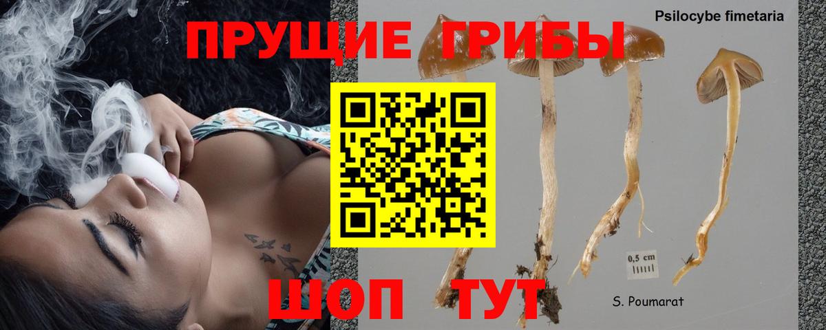 Качканар  Псилоцибиновые грибы Cubensis  продажа наркотиков  Вход с VPN 