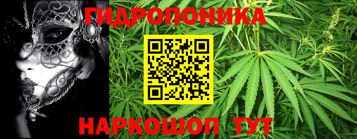 Канабис OG Kush Качканар